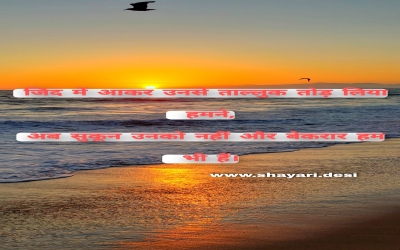 जिद में आकर उनसे ताल्लुक तोड़ लिया हमने, अब सुकून उनको नहीं और बेकरार हम भी हैं।